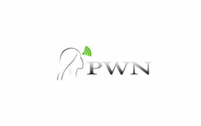 Recap 4 Professional Women's Network Buzz – Special Membership & Christmas Fair 2015