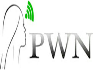 Professional Womens Network logo2